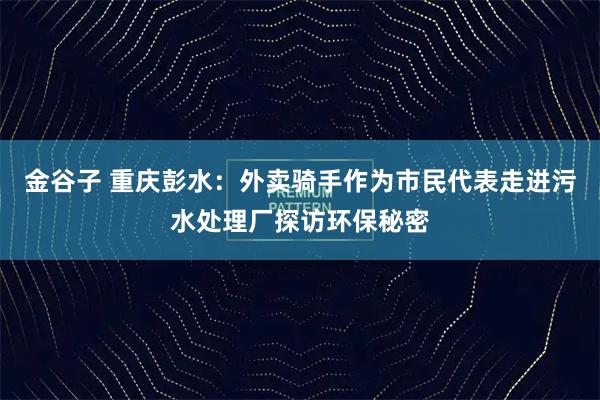 金谷子 重庆彭水：外卖骑手作为市民代表走进污水处理厂探访环保秘密