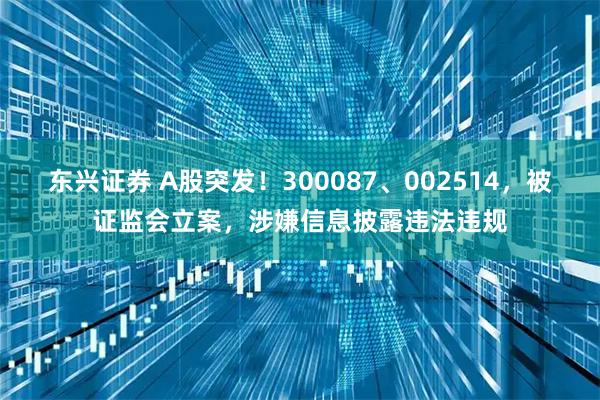 东兴证券 A股突发！300087、002514，被证监会立案，涉嫌信息披露违法违规